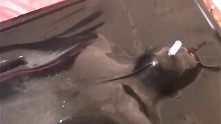 Mature chubby dude deepthroating scat babe