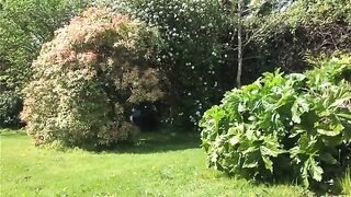 Cute looking girlfriend poops in the garden