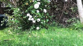 Cute looking girlfriend poops in the garden