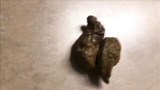 Beautiful round thick ass lady dropping shit