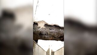 Cute amateur lady shitting closeup