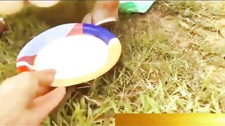 Outdoor shitting show