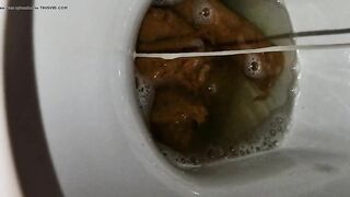 Woman licks shit from the toilet