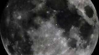 Beauty girl fully poop covered