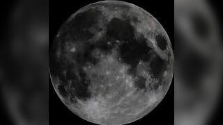 Betty scat smearing play