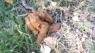 Caught by jogger when pooping in the park