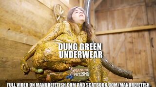 Cow Dung In Green Underwear