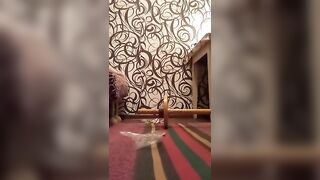 Cute Girl With Appetizing Ass Shitting On The Carpet