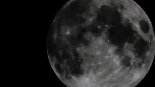 Tattooed girlfriend gives scat blowjob