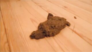Standing hot poop show