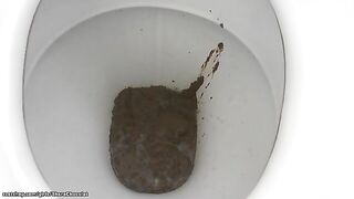 Girl takes a long shit on the toilet