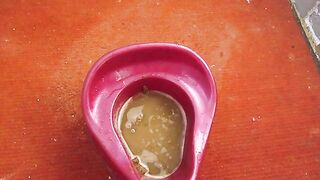 Potty pot shit at home