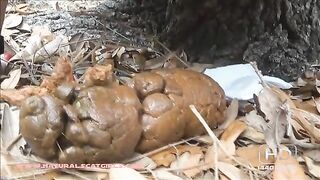 Nice ass and forest poop