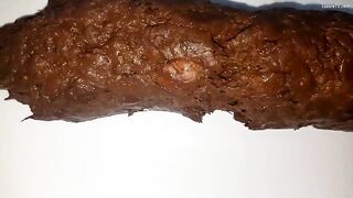 POV Huge long poop