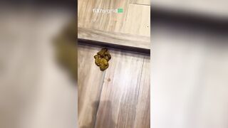Girl takes a huge shit on the cabinet