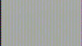 Horny Jamie Gillis and his slave Carol