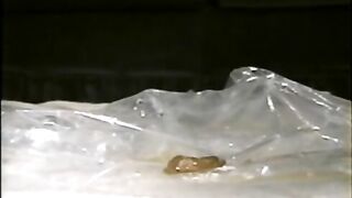 Little quickie poop on the plastic