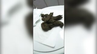 Massive shit in toilet