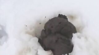 Warm poop in the snow