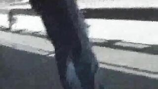 Babe with smooth ass teasing and pooping