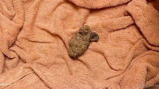 Redhead craps then plays with her poop