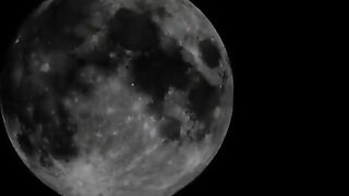 Russian babe Betty Swallows Her Lover's Shit