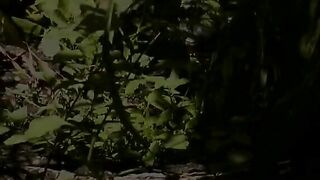 Scat Eating in the Corn Field