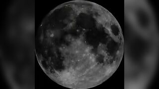 Beautiful lady smearing shit on her face