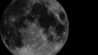 Nasty girl poops in her sexy pantyhose