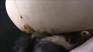 Scat facesitting play