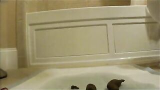 Sexy Pooping cute girl