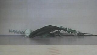 Self hot poop on the floor