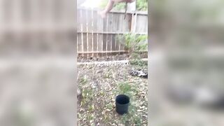 Shitting out of a tree