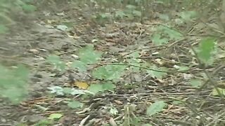 Messy shit in the woods