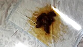 Sweet Dessert For You