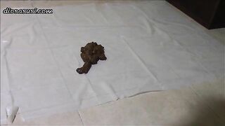 Big booty women have shitting contest