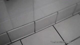 Woman caught shitting in public bathroom