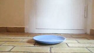 Girl drops a shit on a plate while wearing pink socks