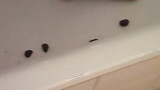 Girl eats shit from a guy's ass in the shower