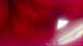 Chick takes a massive shit on the carpet