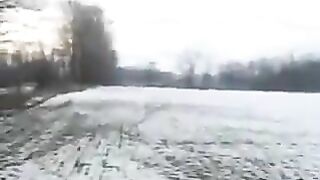 Wild siberian pooper in the snow