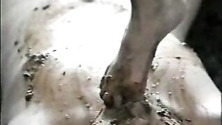 Asian mistress feeding slave