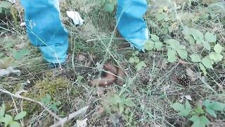 Big turds in the pine woods