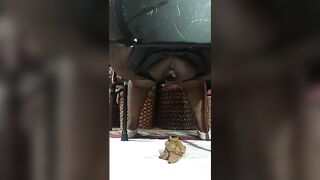 Fav Scat and Fart show