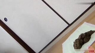 Loveky Asian amateur gal and sexy shit