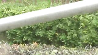 Dropping shit in the forest