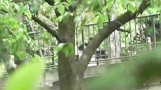 Leaking shit in the park