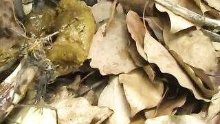 Leaking shit in the park