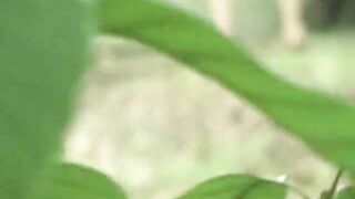 Caught pooping in the public- Japanese