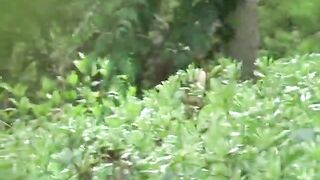 Sweet sexy Japanese girl and hot shit